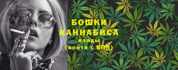 PSILOCYBIN Вяземский