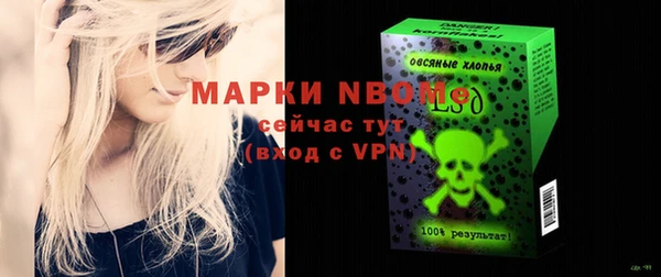 PSILOCYBIN Вяземский