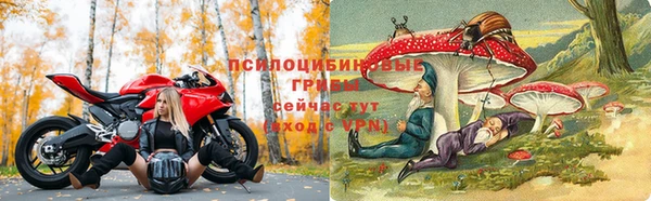 PSILOCYBIN Вяземский
