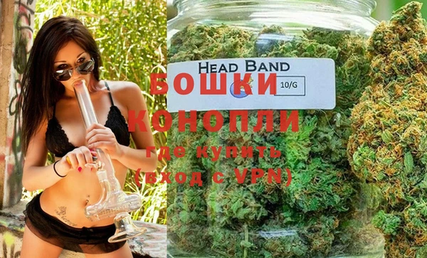 PSILOCYBIN Вяземский