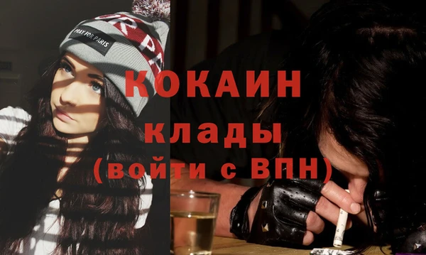 PSILOCYBIN Вяземский