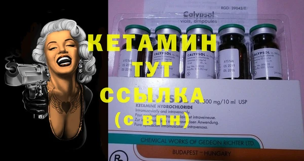 PSILOCYBIN Вяземский
