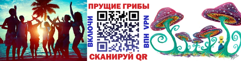 Купить закладки  Тавда  Галлюциногенные грибы Psilocybe 
